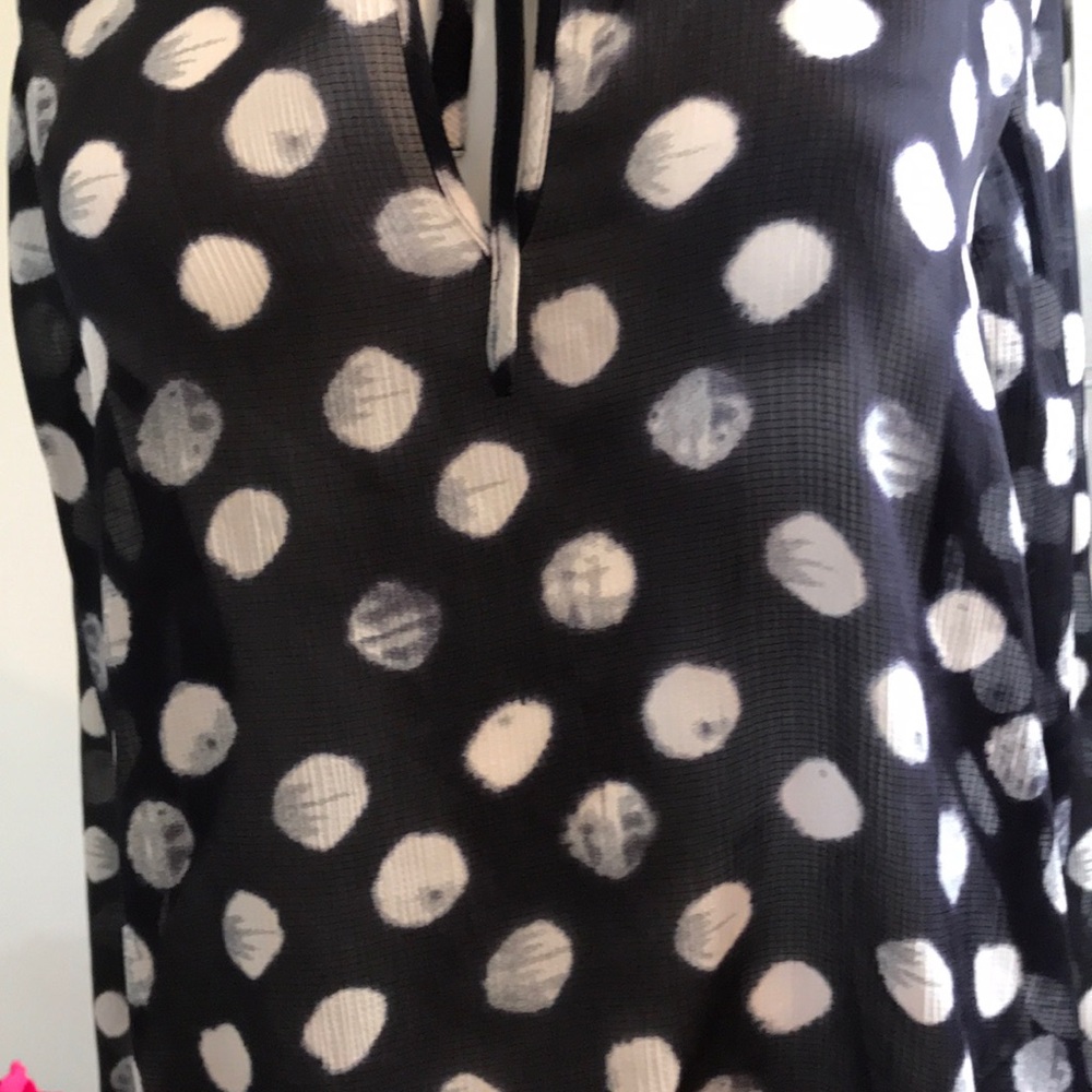 COLDWATER CREEK Sheer Polka-Dot Blouse - Picture 5 of 6